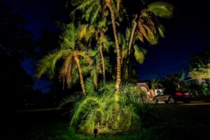 Lanai Lights Shrubbery Lighting