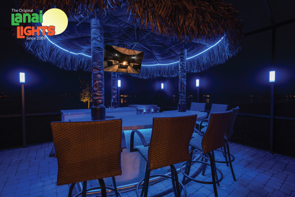 Read more about the article Tiki Bar Ideas